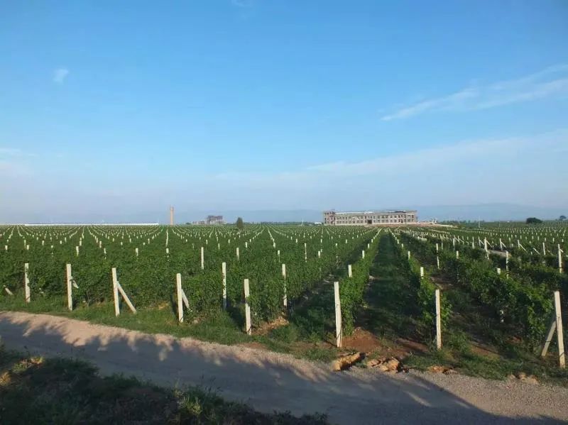 格瑞特莊園春季踏青游，一場微醺的春日盛宴等你來！